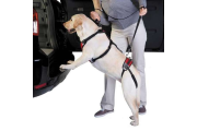 Red - Total Pet Health Lift & Go Lead - Medium