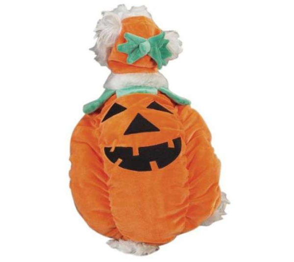 Orange - Zack & Zoey Pumpkin Pooch Costume - Medium