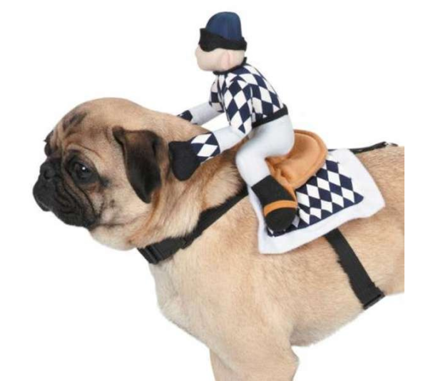 ZZ Show Jockey Saddle Costume  - Medium