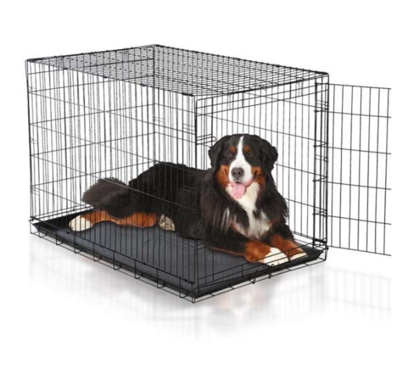 Black - Easy Crate - Medium/Large