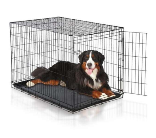 Black - Easy Crate - Small