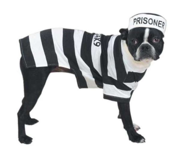 Casual Canine Prison Pooch Costume  - Large