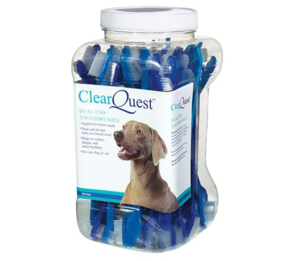 CQ Dual-End Brush 50Pk - 50 pack