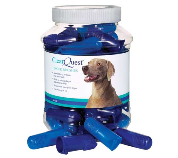 CQ Finger Brush 50Pk - 50 pack