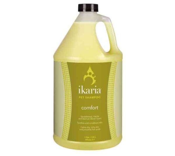 White - IK Shampoo Comfort Gallon - 1 Gallon