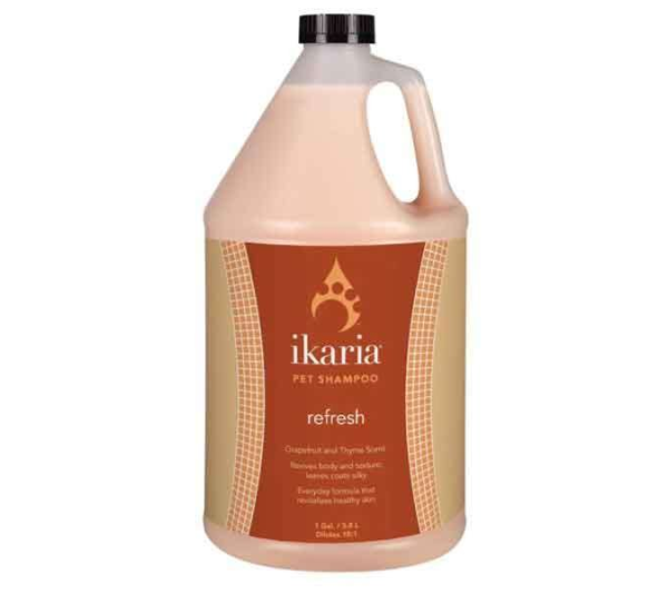 White - IK Shampoo Refresh Gallon - 1 Gallon