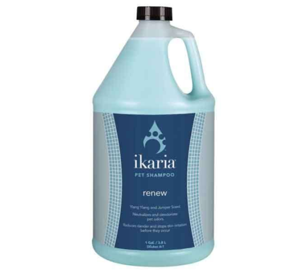 White - IK Shampoo Renew Gallon - 1 Gallon