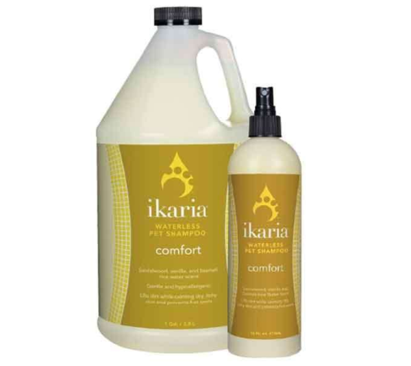 White - IK Waterless Shampoo Comfort Gallon - 1 Gallon