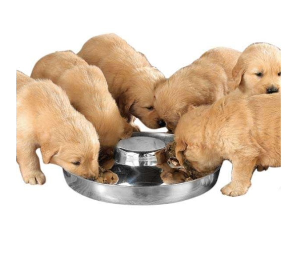 PS Puppy Dish 14.5In - 14.5in