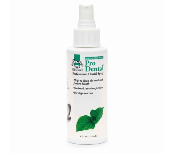 TP ProDental Dental Spray 4oz - 4oz