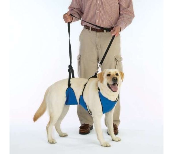 Blue - TPH Lift & Lead 4 in 1  - XL