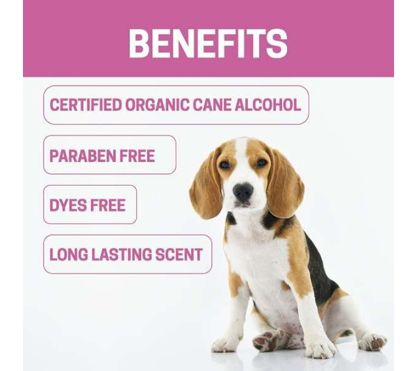 Pink - All-Natural Dog Cologne - 8 oz