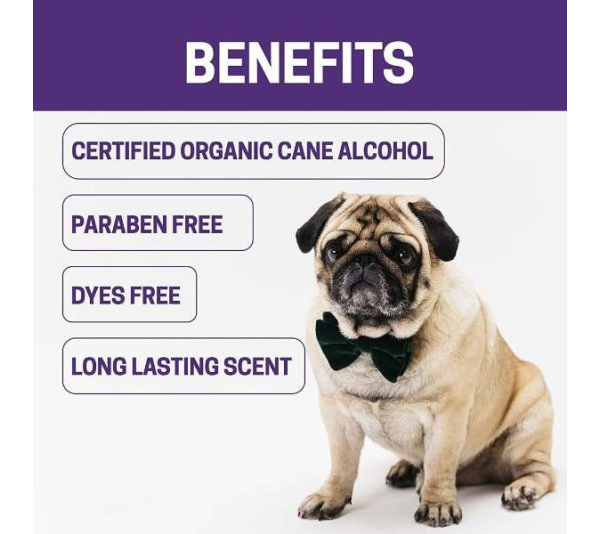 Purple - All-Natural Dog Cologne - 8 oz