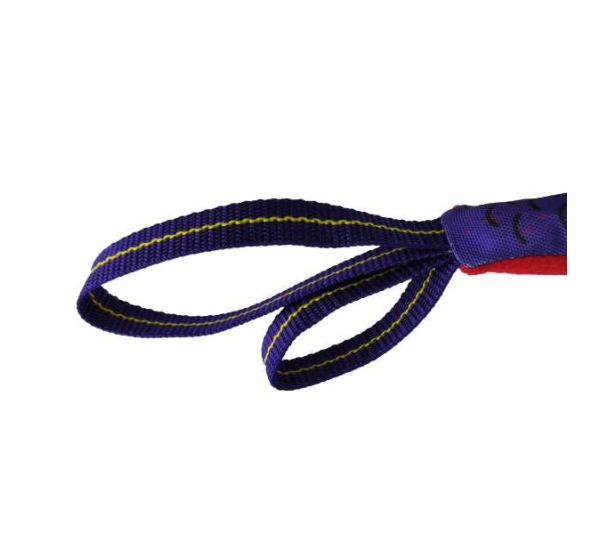 Purple/Red - Flyin' Fish Dog Toy