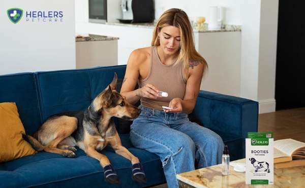 Blue - Healers Medical Dog Booties - Extra Large