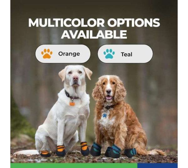 Teal - URBAN WALKERS III - Extra Small