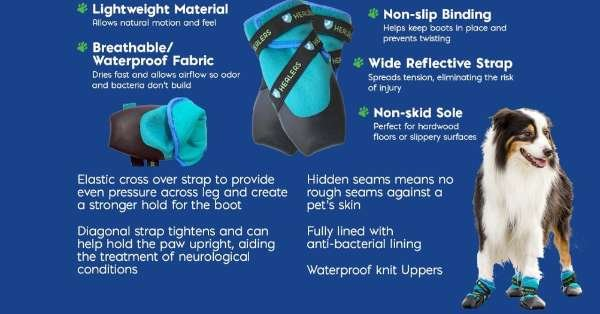 Teal - URBAN WALKERS III - Medium