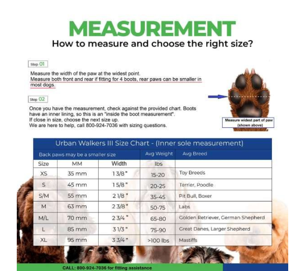 Teal - URBAN WALKERS III - Small/Medium