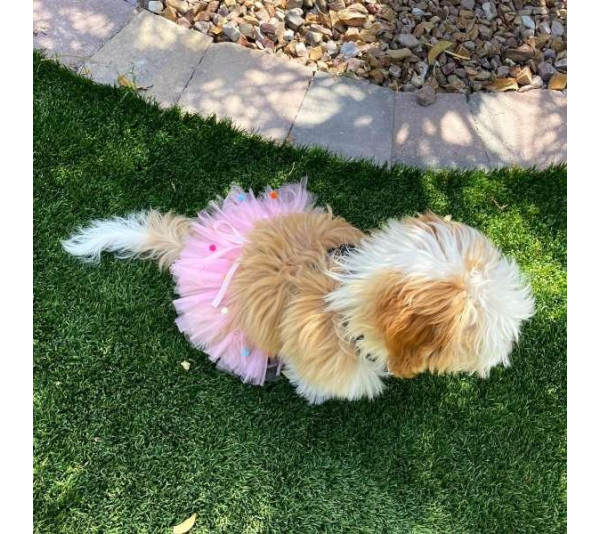 Pink - Pink Pom Pom Dog Tutu Skirt (XL) - XL