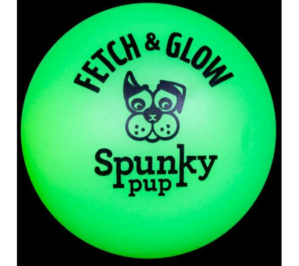 Fetch & Glow Ball - Large