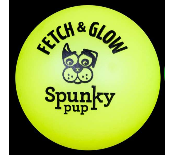 Fetch & Glow Ball - Medium