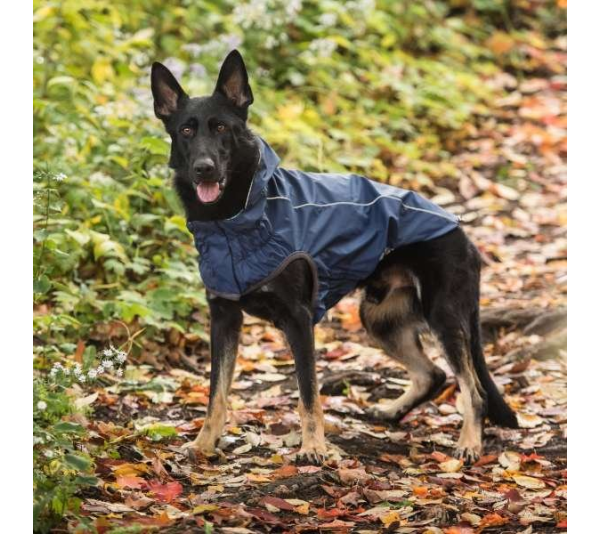 Navy - GF Pet Reversible ElastoFit Raincoat  - Medium