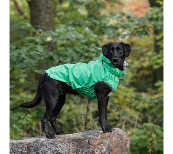 Green - GF Pet Reversible ElastoFit Raincoat  - Medium