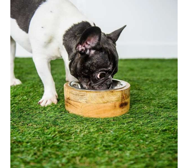 Natural - GF Pet Mango Wood Bowl Single   - Large
