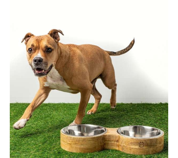 Natural - GF Pet Wood & Metal Feeder Double Diner   - Small