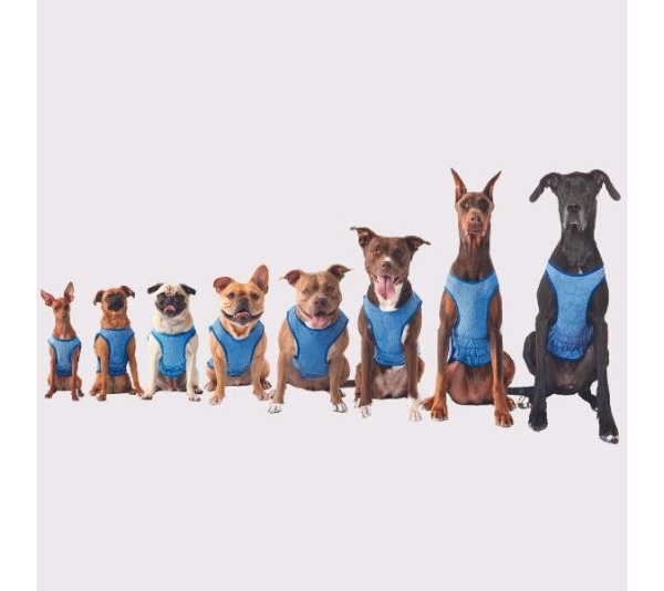 Blue - GF Pet ElastoFit Ice Vest - 3XL