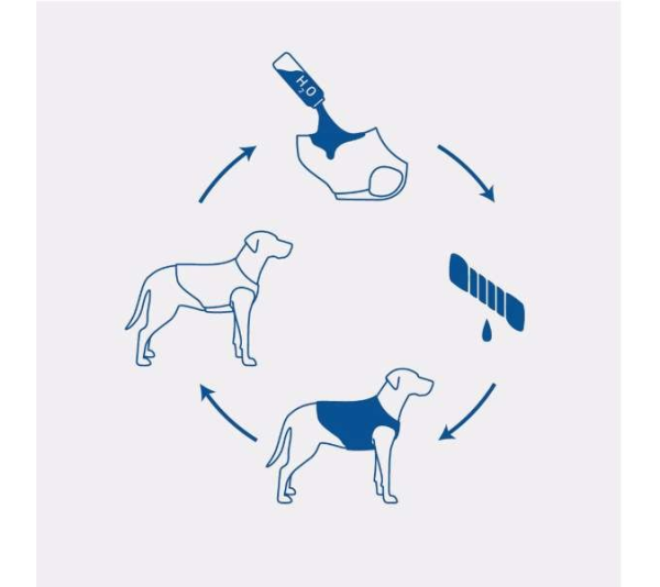 Blue - GF Pet ElastoFit Ice Vest - XL