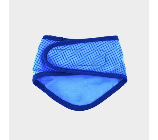 Blue - GF Pet  Ice Band   - XS