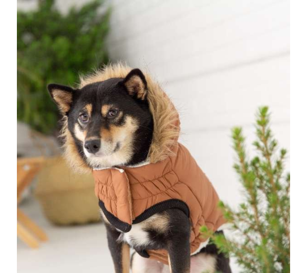 Caramel - GF Pet ElastoFit Urban Dog Parka  - XL