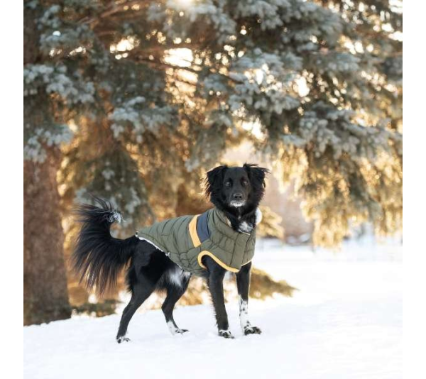 Dark Khaki - GF Pet  Alpine Puffer - Small