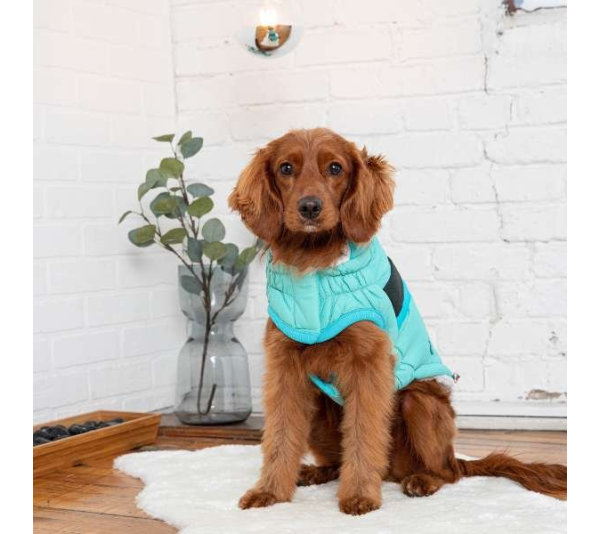 Light Aqua - GF Pet  Alpine Puffer - 2XL