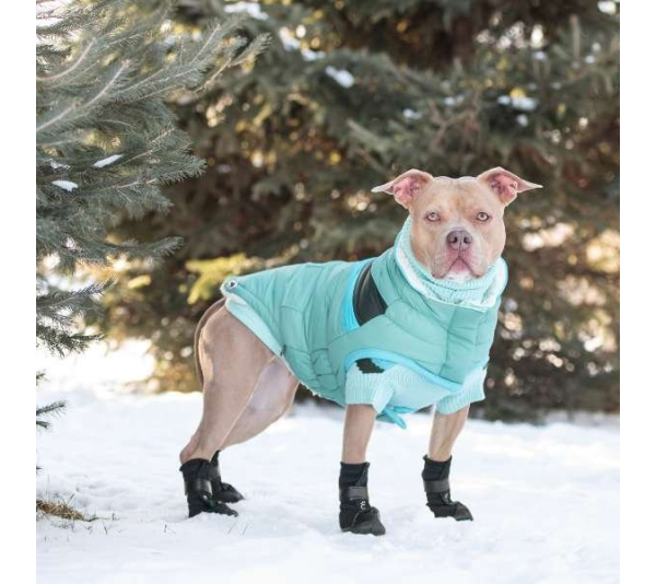 Light Aqua - GF Pet  Alpine Puffer - 3XL