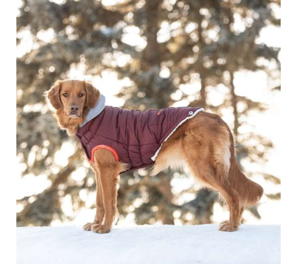 Burgundy - GF Pet  Winter Sailor Parka  - 2XL