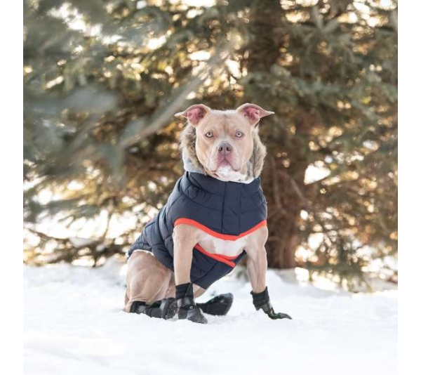 Navy - GF Pet  Winter Sailor Parka  - XL