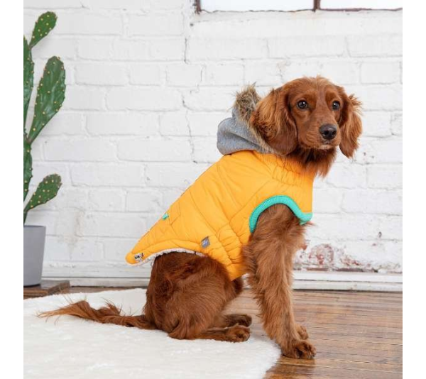 Yellow - GF Pet  Winter Sailor Parka  - Medium