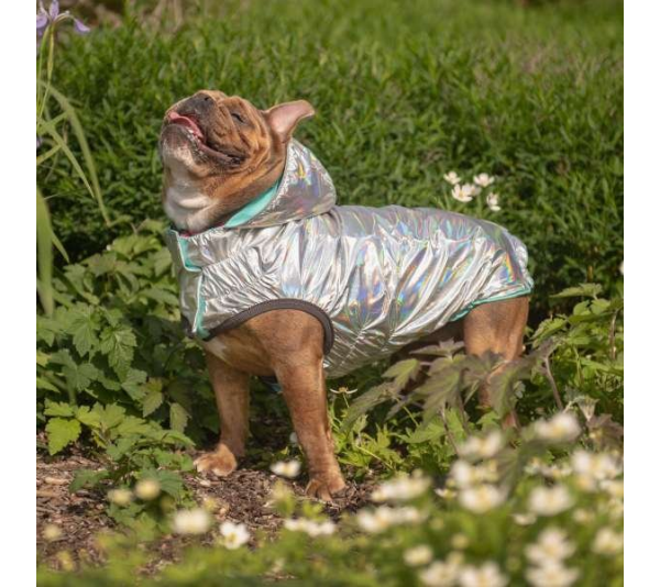 Neon Aqua - GF Pet Reversible Raincoat  - 2XL