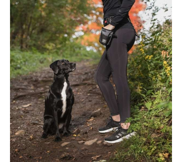 Grey - GF Pet  Treat Bag