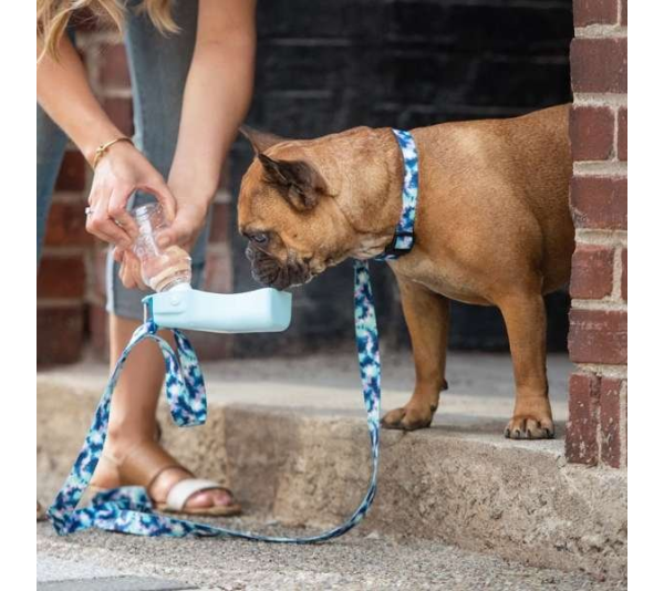 Blue - GF Pet  Water Bottle