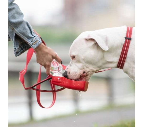 Red - GF Pet  Water Bottle