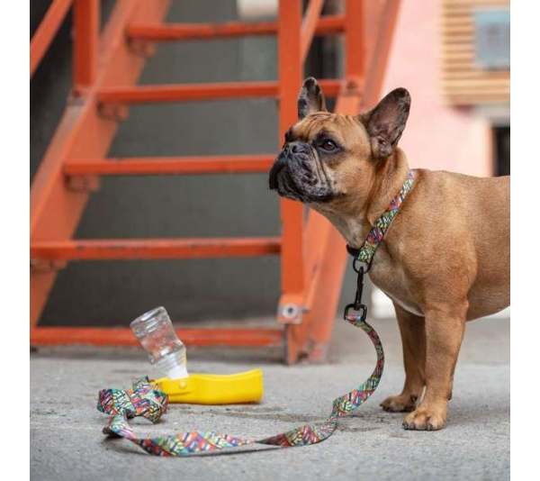 Yellow - GF Pet  Water Bottle