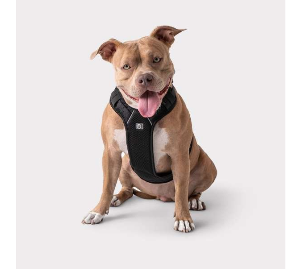 Black - GF Pet  Travel Harness - Medium