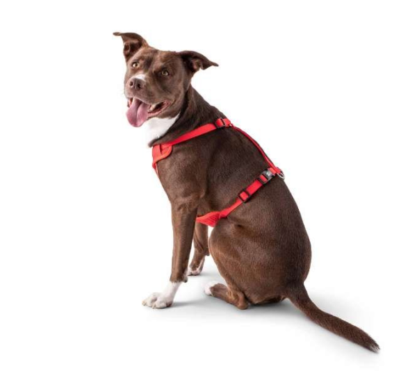 Red - GF Pet  Travel Harness - 2XS