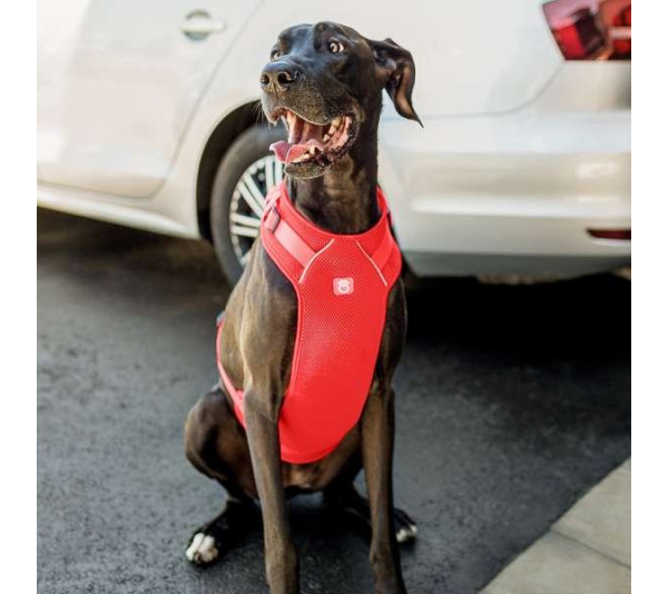 Red - GF Pet  Travel Harness - Medium