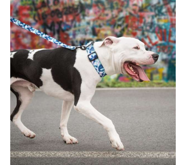 Tie Dye - GF Pet  Printed Collar  - XS