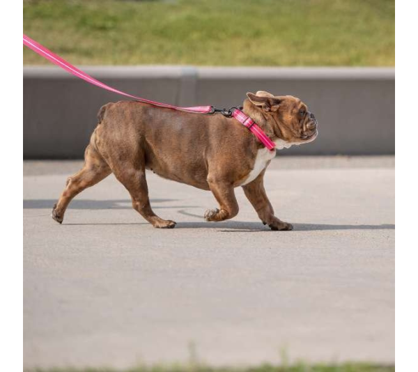Neon Pink - GF Pet  Reflective Collar - Medium