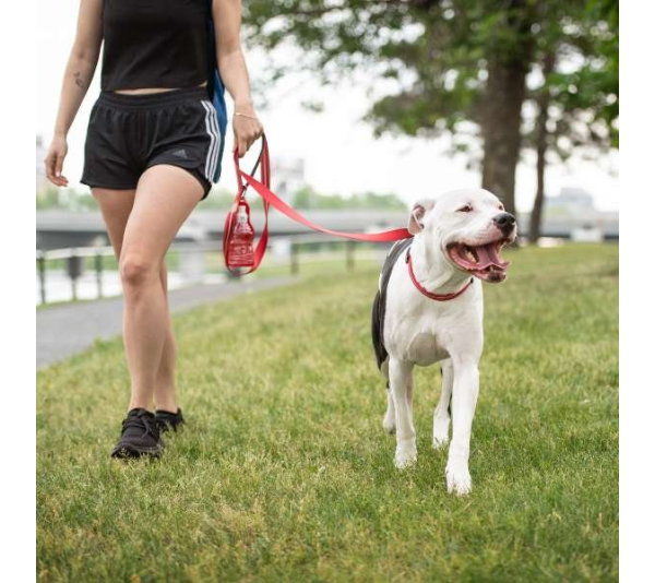 Red - GF Pet  Reflective Collar - Large